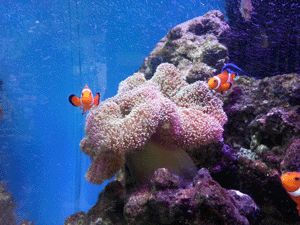 ¹°°í±â²Þ »õÇØ ²ÞÇ®ÀÌ1