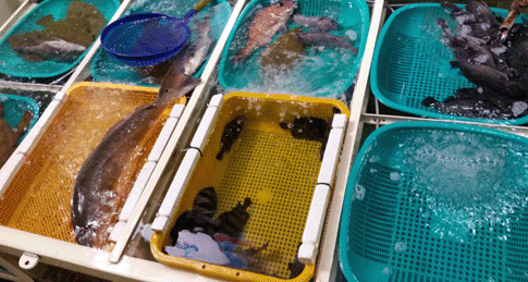 ¹°°í±â²Þ »õÇØ ²ÞÇ®ÀÌ2